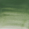 Image Vert de chrome (Lamorinière) 262 Blockx